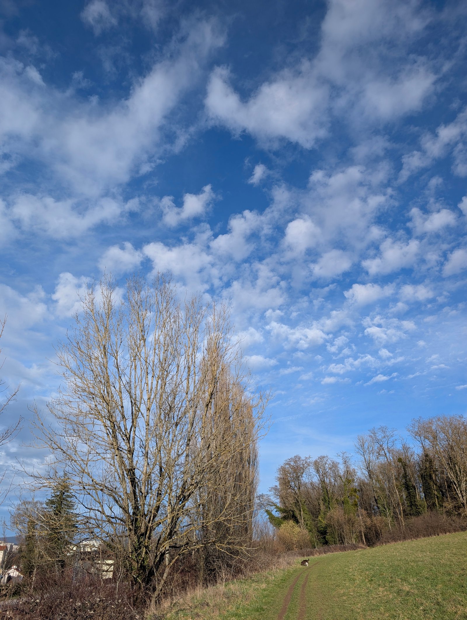 Paysages 